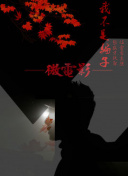 宫廷计中的角色解析：谁能助你登上权力巅峰